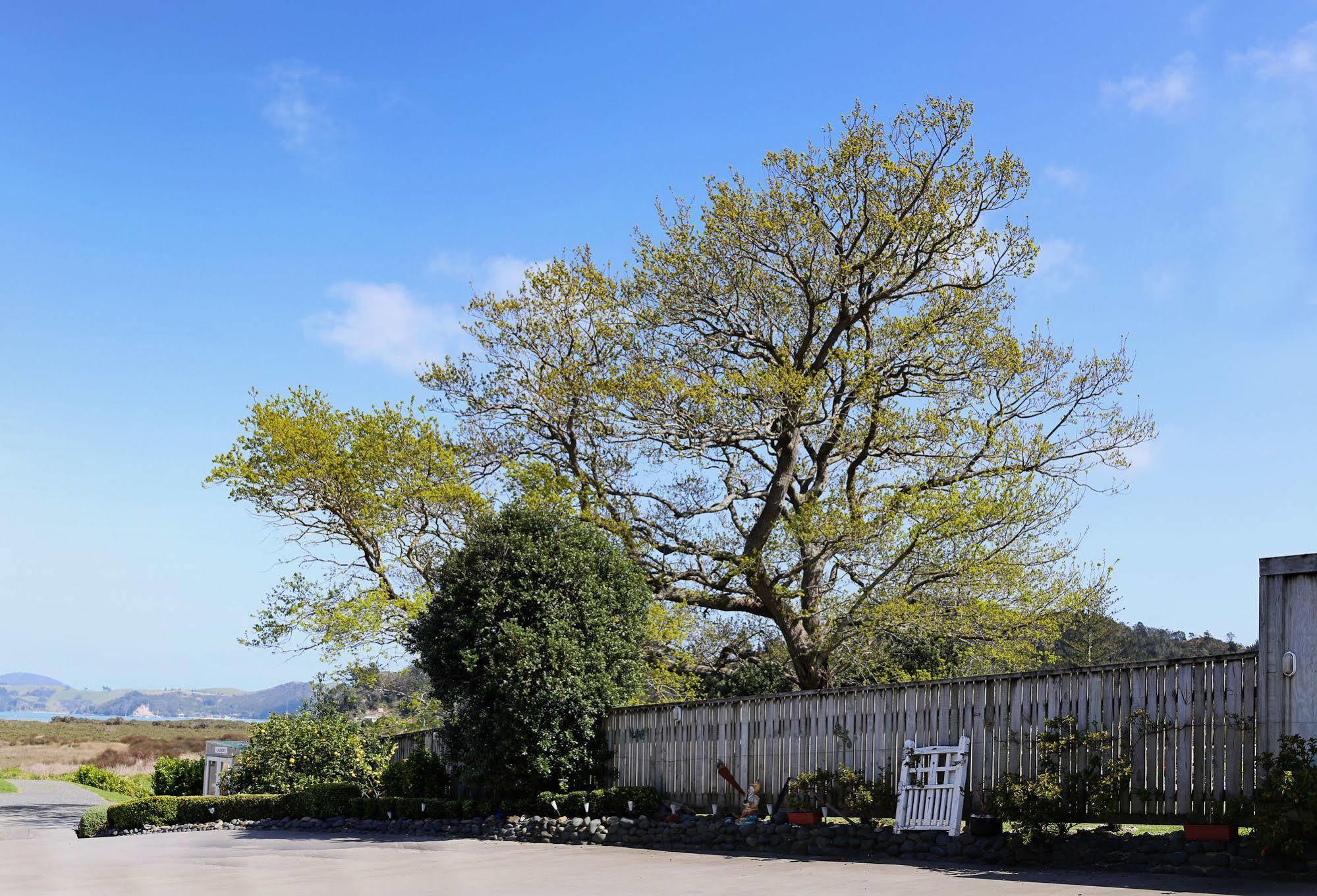 Abbey Court Motel Coromandel Kültér fotó